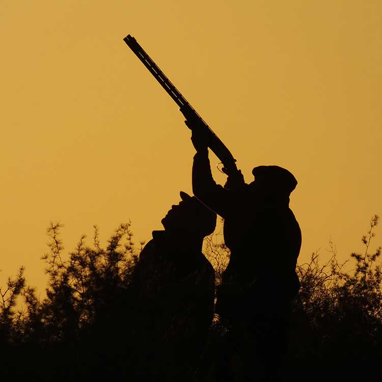 small wildfowl hunting tour in South Africa