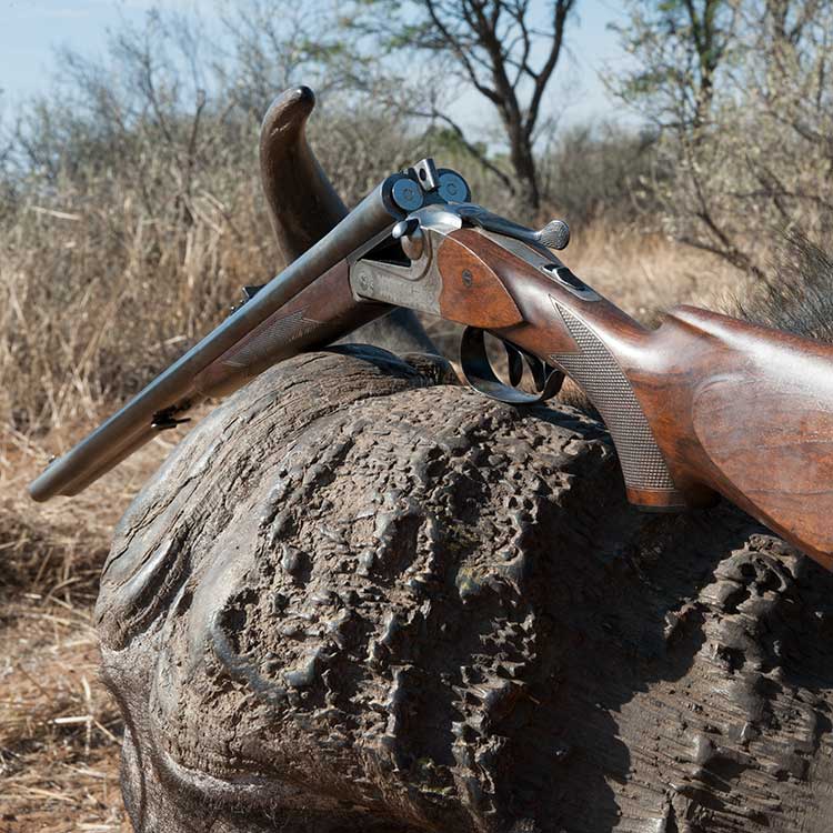 organized Big Five hunting trip in South Africa
