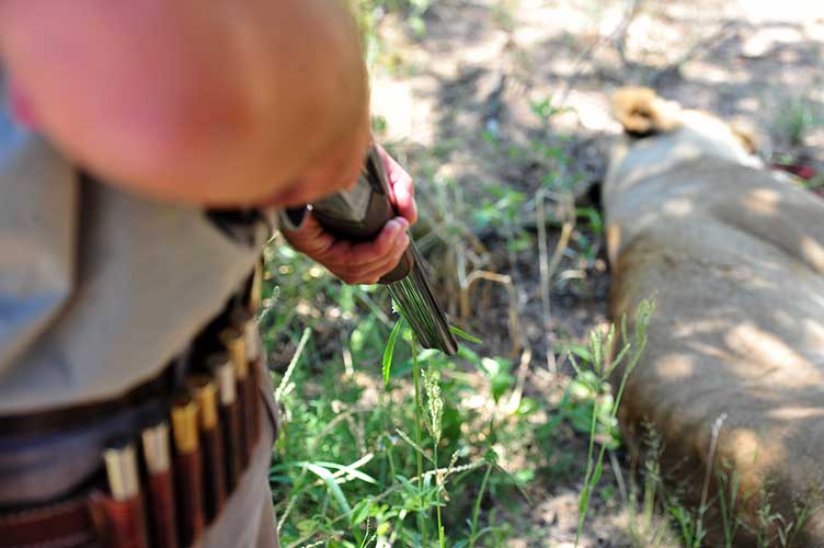 organized Big Five hunting trip in South Africa
