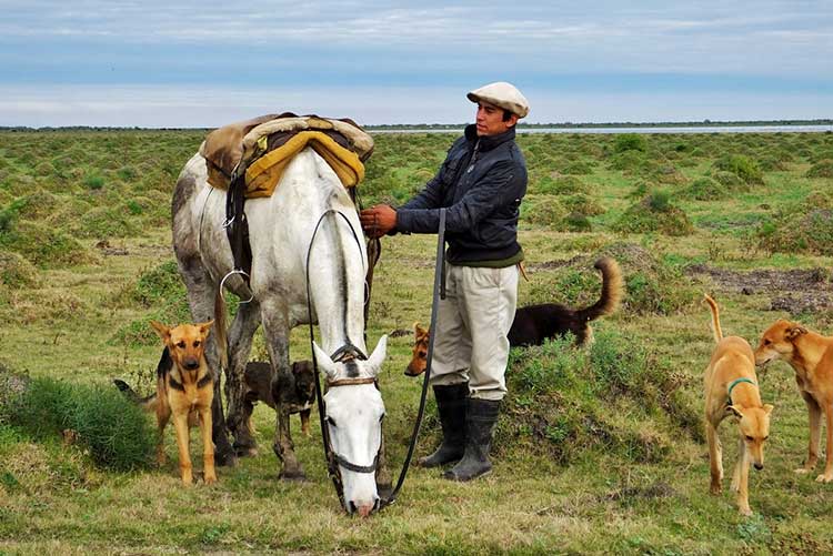 séjour organisé de chasse en Argentine