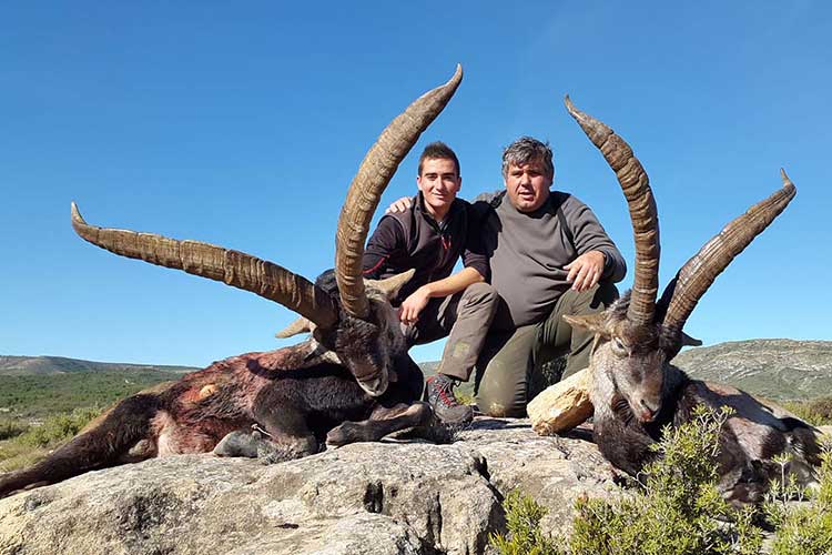 séjour organisé de chasse en Espagne