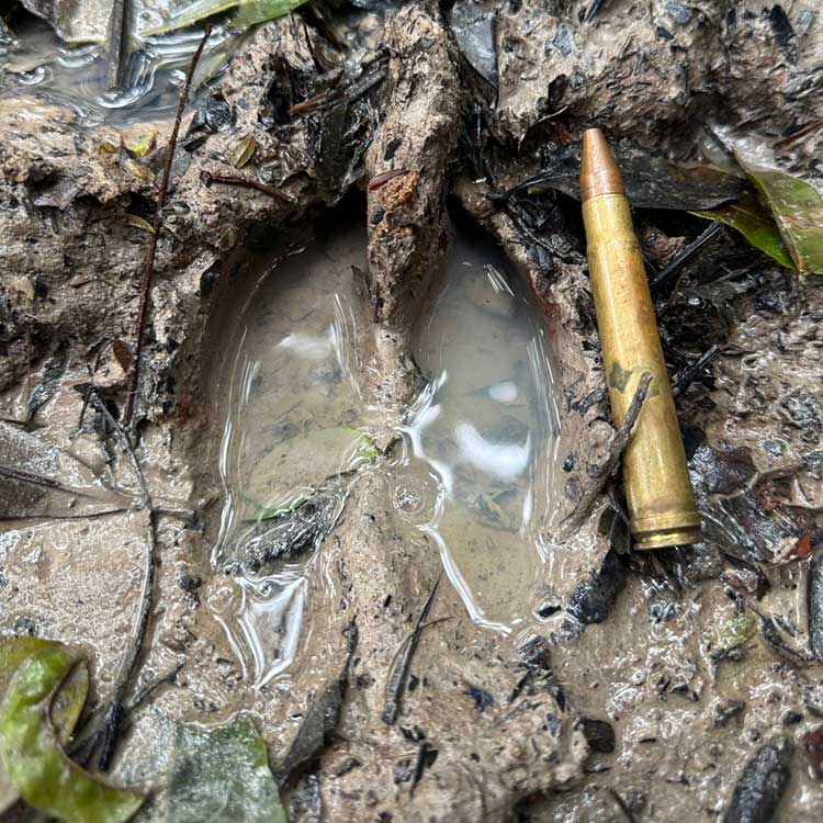 voyage organisé chasse en forêt au cameroun