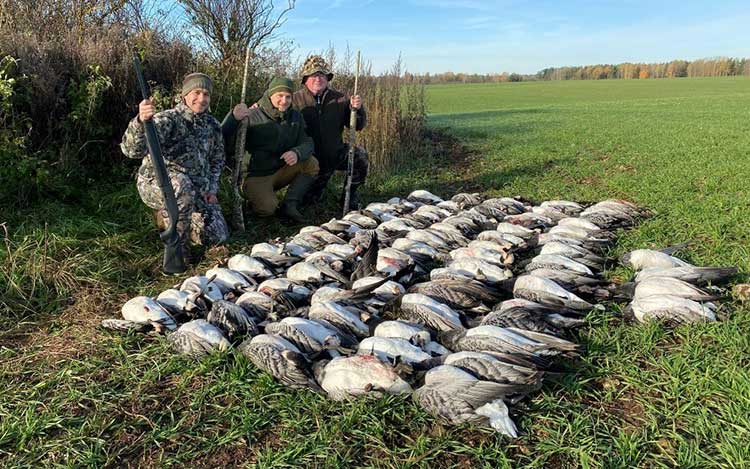 voyage organisé Chasse au Cerf au brame en Bulgarie