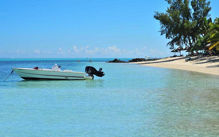 organisation séjours de chasse afrique europe amériques océanie eurasie