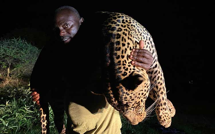 organisation séjours de chasse afrique europe amériques océanie eurasie