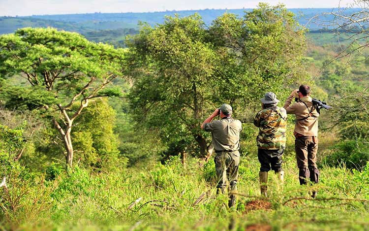 organisation séjours de chasse afrique europe amériques océanie eurasie