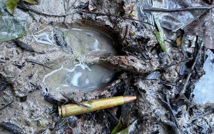 organisation séjours de chasse afrique europe amériques océanie eurasie