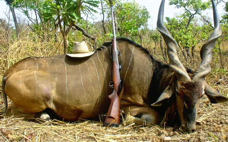 organisation séjours de chasse afrique europe amériques océanie eurasie