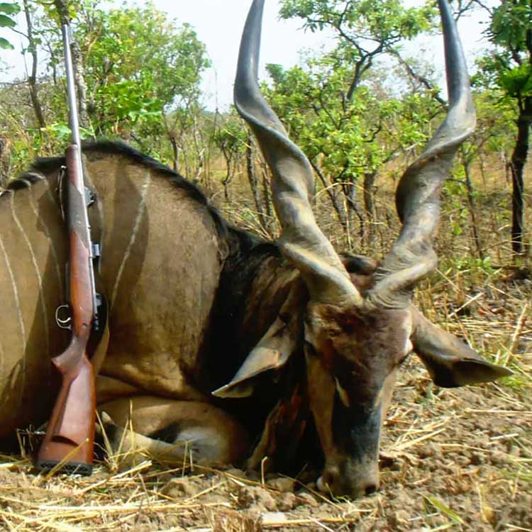 voyage organisé chasse en savane au cameroun