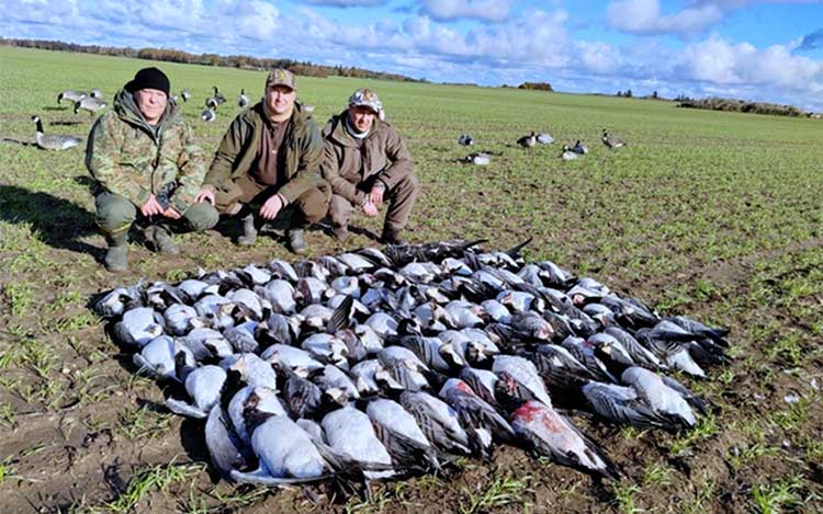 organisation séjours de chasse afrique europe amériques océanie eurasie