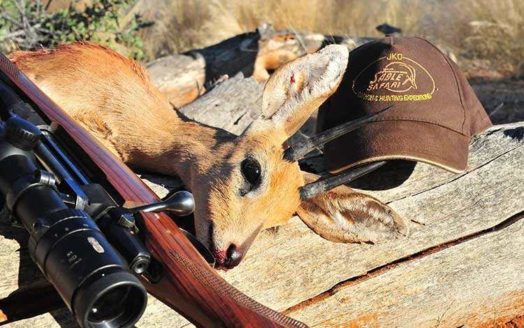 organisation séjours de chasse afrique europe amériques océanie eurasie