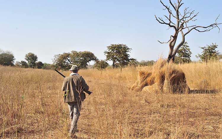 organisation séjours de chasse afrique europe amériques océanie eurasie