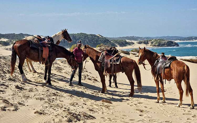 organisation séjours de chasse afrique europe amériques océanie eurasie