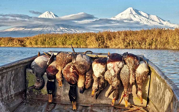 organisation séjours de chasse afrique europe amériques océanie eurasie