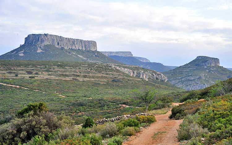 organisation séjours de chasse afrique europe amériques océanie eurasie