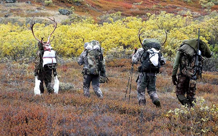 organisation séjours de chasse afrique europe amériques océanie eurasie