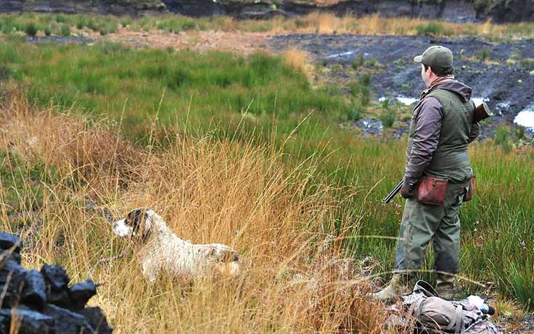 organisation séjours de chasse afrique europe amériques océanie eurasie