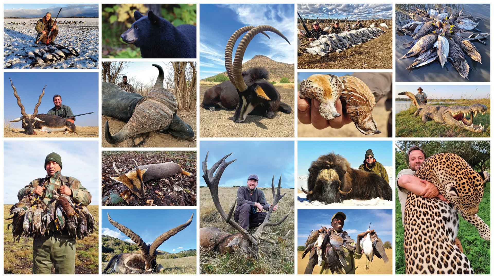 séjours de chasse organisé Sable Safari