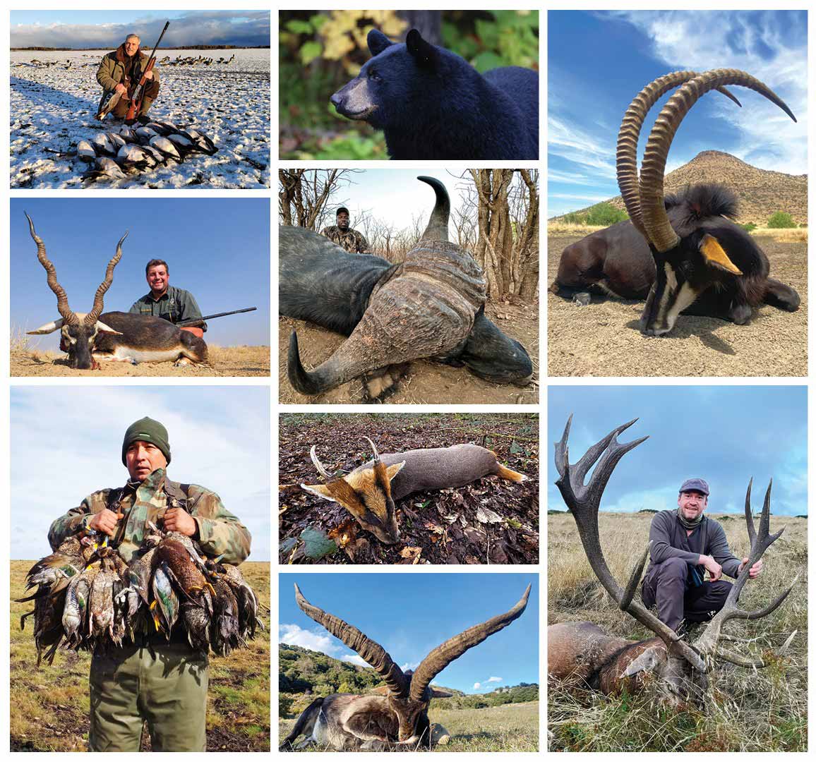 séjours de chasse organisé Sable Safari