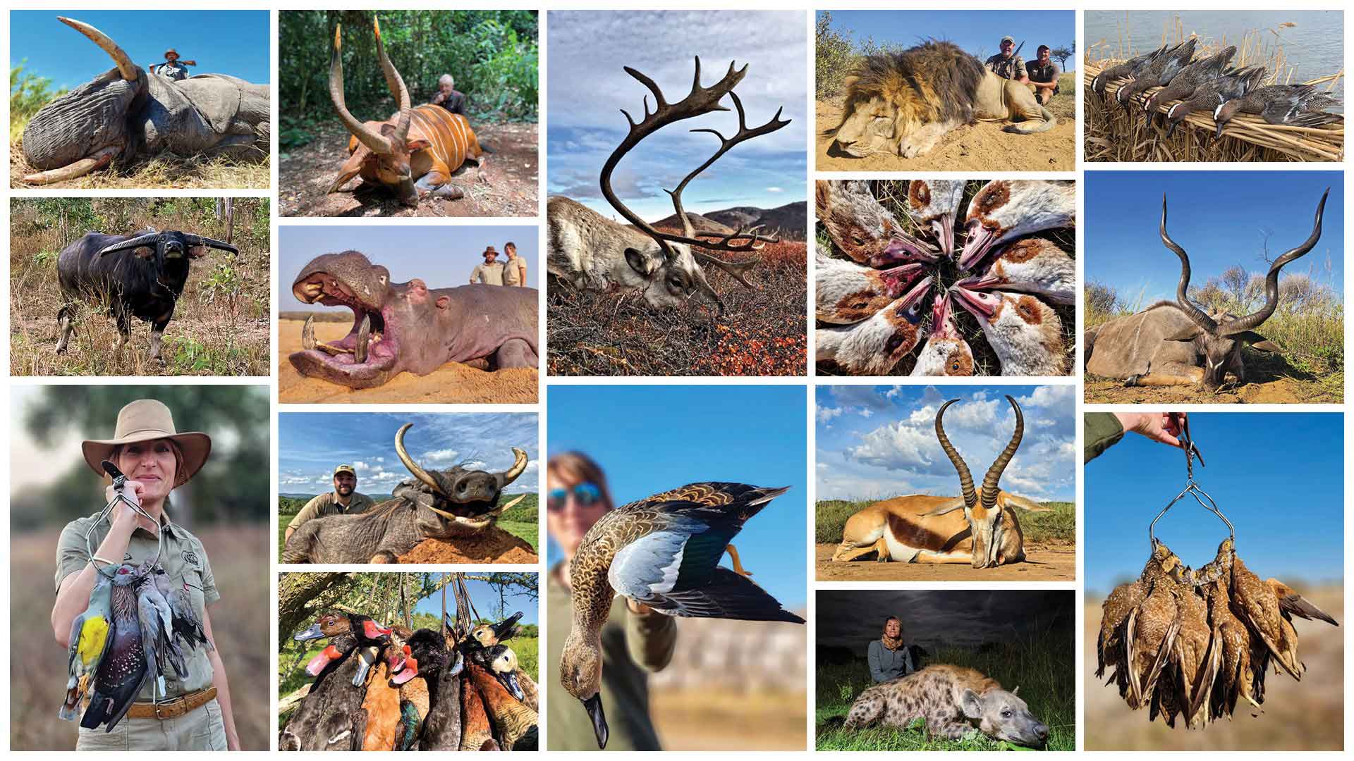 séjours de chasse organisé Sable Safari