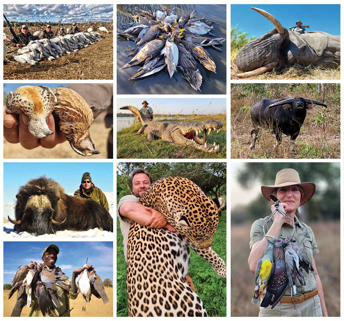 séjours de chasse organisé Sable Safari