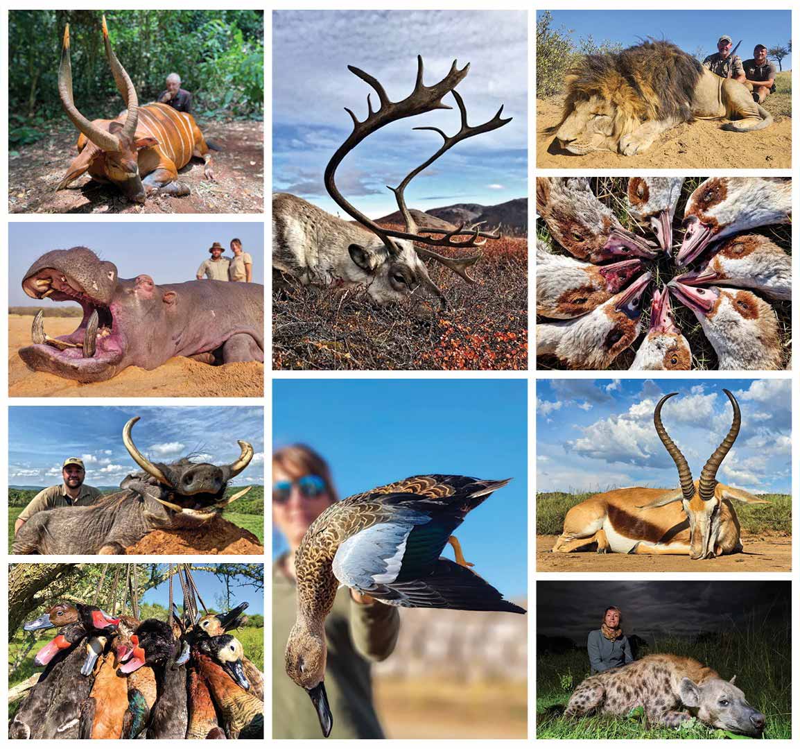 séjours de chasse organisé Sable Safari
